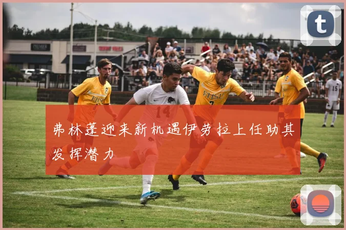 弗林蓬迎来新机遇伊劳拉上任助其发挥潜力